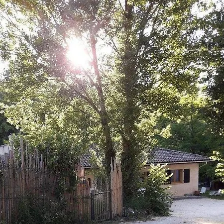 Dans Les Bois